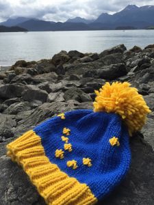 Alaska Flag Hat