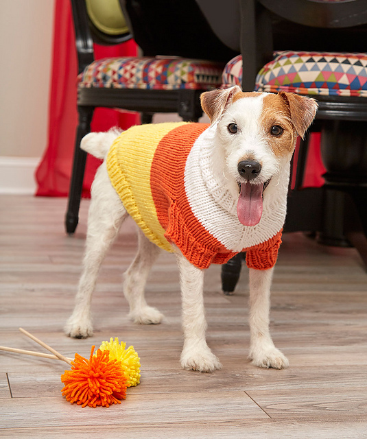 Knitting Patterns Galore - Candy Corn Dog Sweater