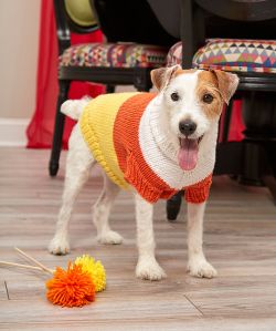 Candy Corn Dog Sweater