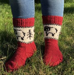 Forest Sheep Socks