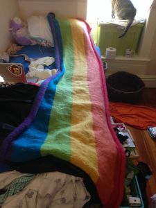 Rainbow Blanket (without border) 