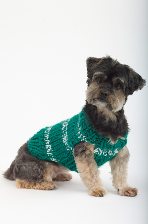 Knitting Patterns Galore - The Sports Nut Dog Sweater