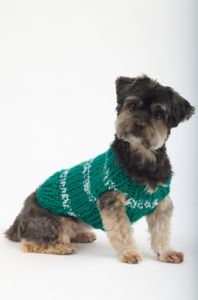 The Sports Nut Dog Sweater