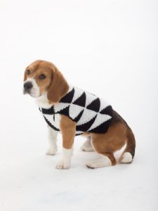 Modernist Dog Sweater