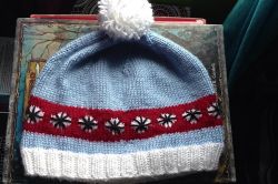 Don't Starve Winter Hat