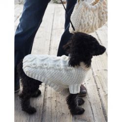 Biscuits & Bones Dog Coat