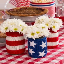 Americana Jar Cozies