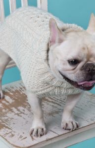 Cabled Dog Sweater