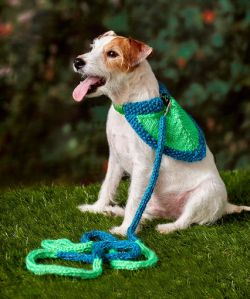 Flashy Dog Leash & Bandana