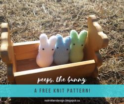 Peeps, the bunny