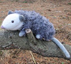 Ozzie the Opossum