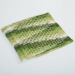 Cryptodira Dishcloth