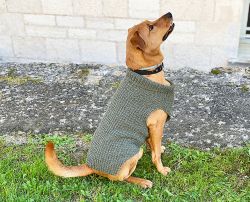 Dog Sweater