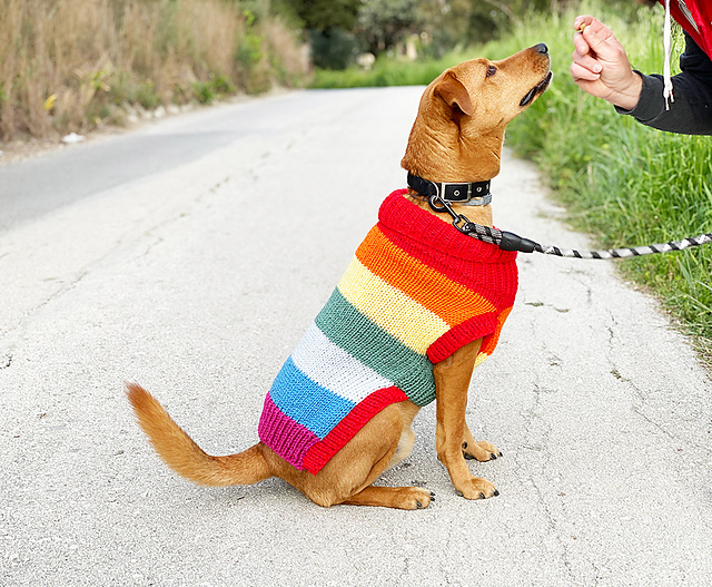 Knitting Patterns Galore - Rainbow Dog Jumper