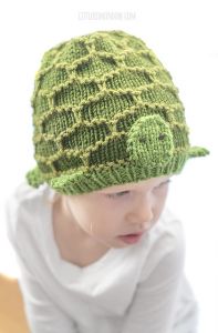 Trusty Turtle Hat