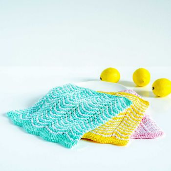 Zig Zag Dishcloth Set