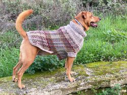 Fraser Tartan Dog Sweater