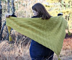 Shortest Day Shawl