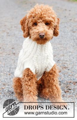 Snowy Trails Dog Sweater