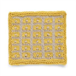 Gridded  Texture Dishcloth