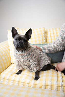 Lulu Dog Sweater