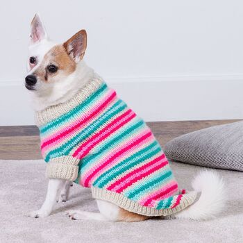 Jazzy Stripes Dog Coat