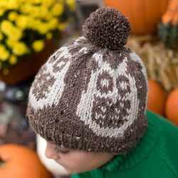 Colorwork Owl Hat