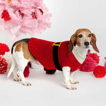 Santa Dog Coat