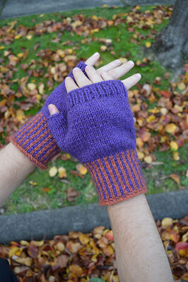 Korimako Fingerless Gloves