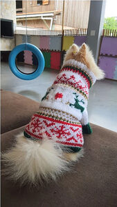 Christmas Sweater for Pets