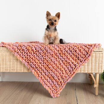 Easy Peasy Pet Blanket