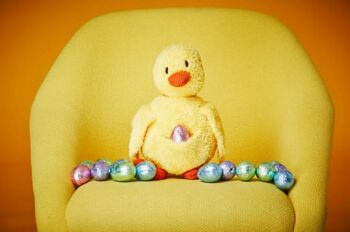 Easter Chick
