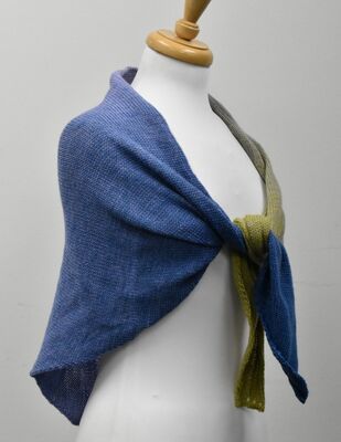 Model Shawl
