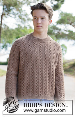 Walnut Dreams Sweater for Men