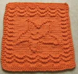 Baby Starfish Cloth