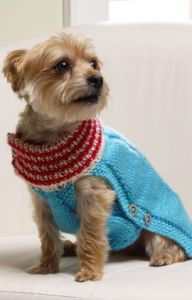 Holiday Dog Sweater