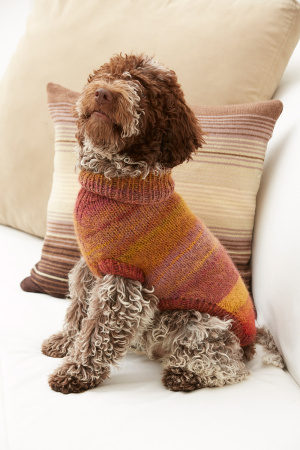 Knitting Patterns Galore Proud Puppy Dog Sweater