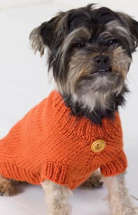 Knitting Patterns Galore - Dog Sweater