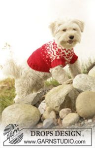 Knitted Dog Coat