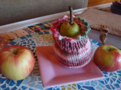 Pear Apple Cozy