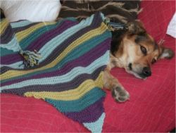Sandy's Diagonal Baby Blanket