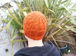 Fibonacci Cables Hat