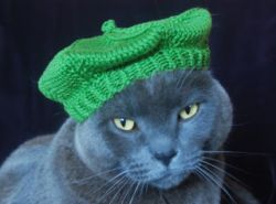 International Cat Hat: France, Le Mieux