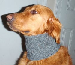 Abby Cowl