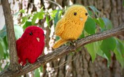 Little Birds
