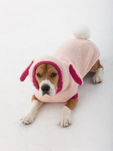 Bunny Dog Costume