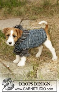 Dog Coat