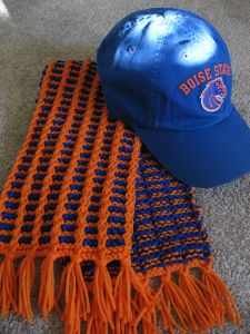 School Colors Scarf 