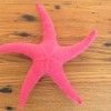 Seamless Knit Starfish