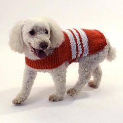 Collegiate Dog Sweater